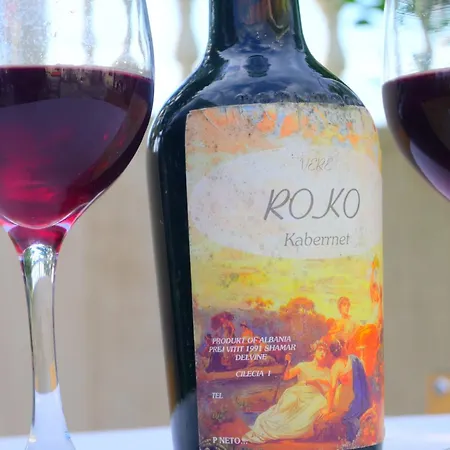 Villa Roko *